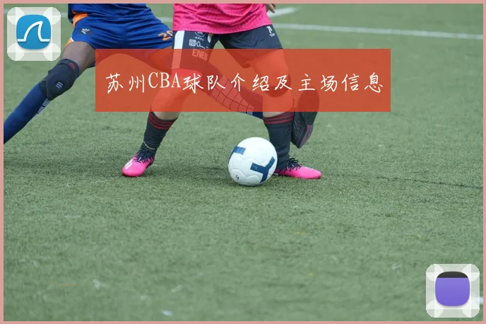 苏州CBA球队介绍及主场信息